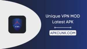 독특한 VPN 모드