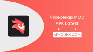 Videoleap MOD APK